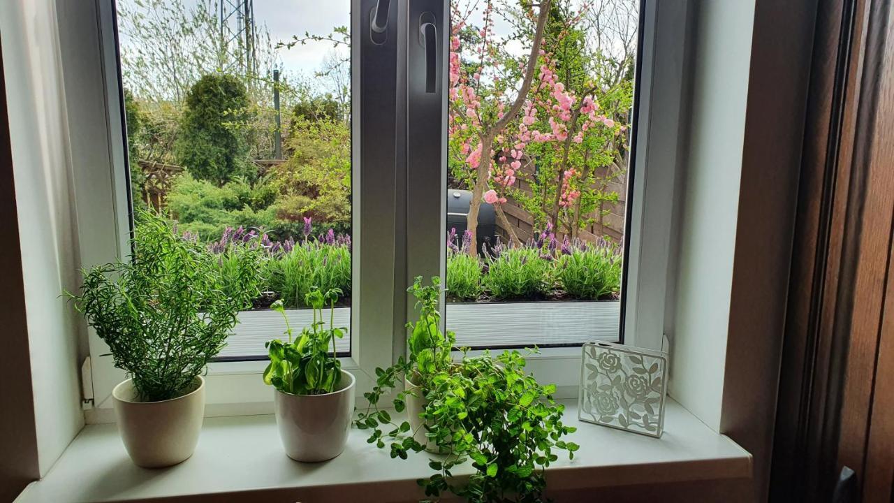 Leilighet Apartament Z Ogrodem I Grillem.