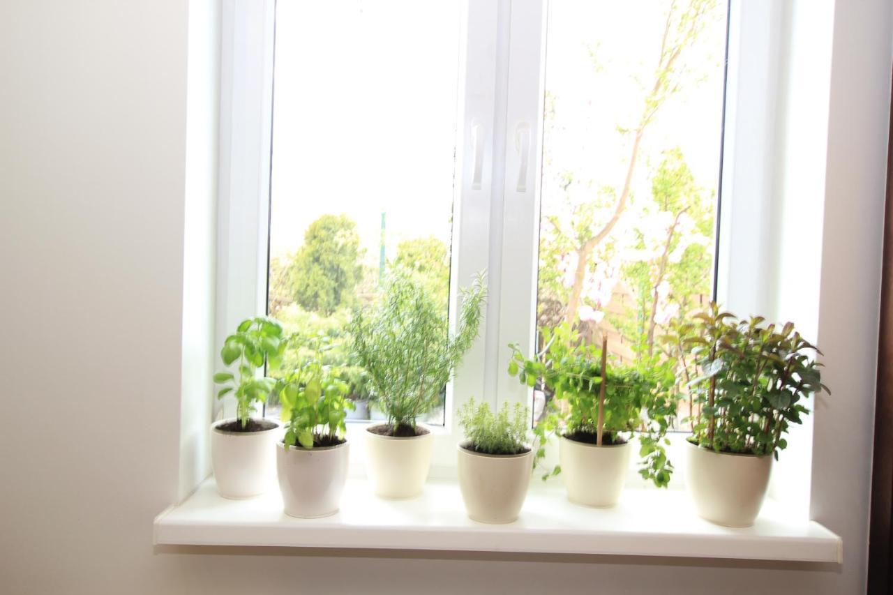 Leilighet Apartament Z Ogrodem I Grillem.